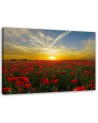 Canvas painting - Red poppies sunset landscape | FEEBY