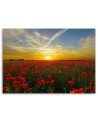 Canvas painting - Red poppies sunset landscape | FEEBY