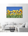 Canvas print modern - Yellow tulips in a meadow | FEEBY