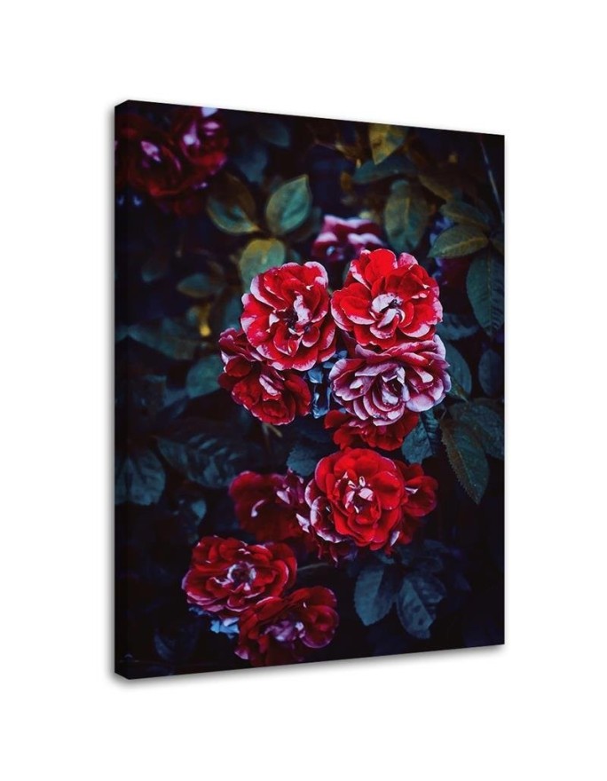 Canvas print - Red flowers on a background of leaves | FEEBY