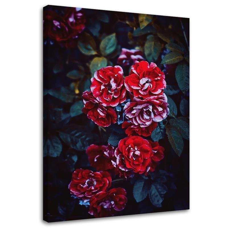 Canvas print - Red flowers on a background of leaves | FEEBY