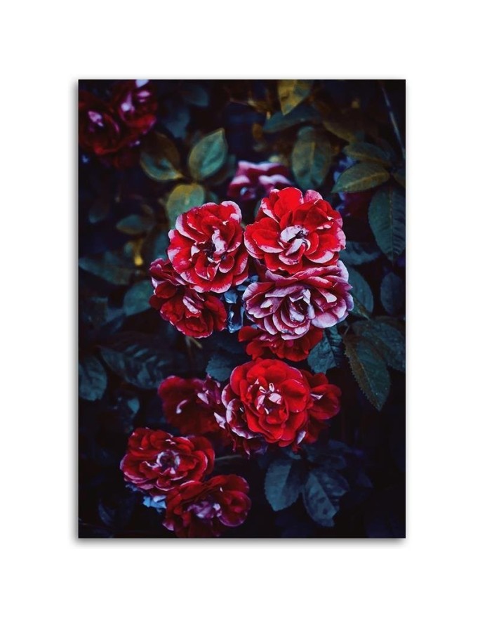Canvas print - Red flowers on a background of leaves | FEEBY