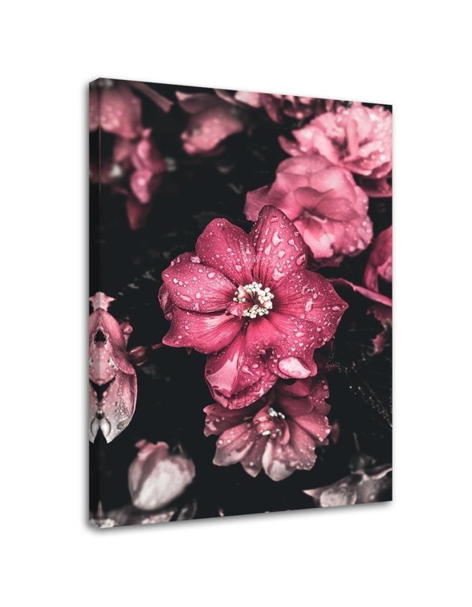 Canvas print - Pink flowers on a dark background | FEEBY