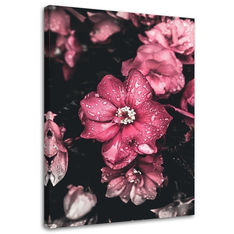 Canvas print - Pink flowers on a dark background | FEEBY