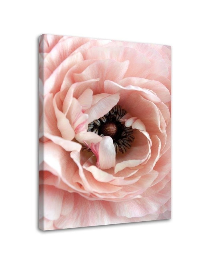 Modern Canvas painting for living room - Pastel peony flower | FEEBY