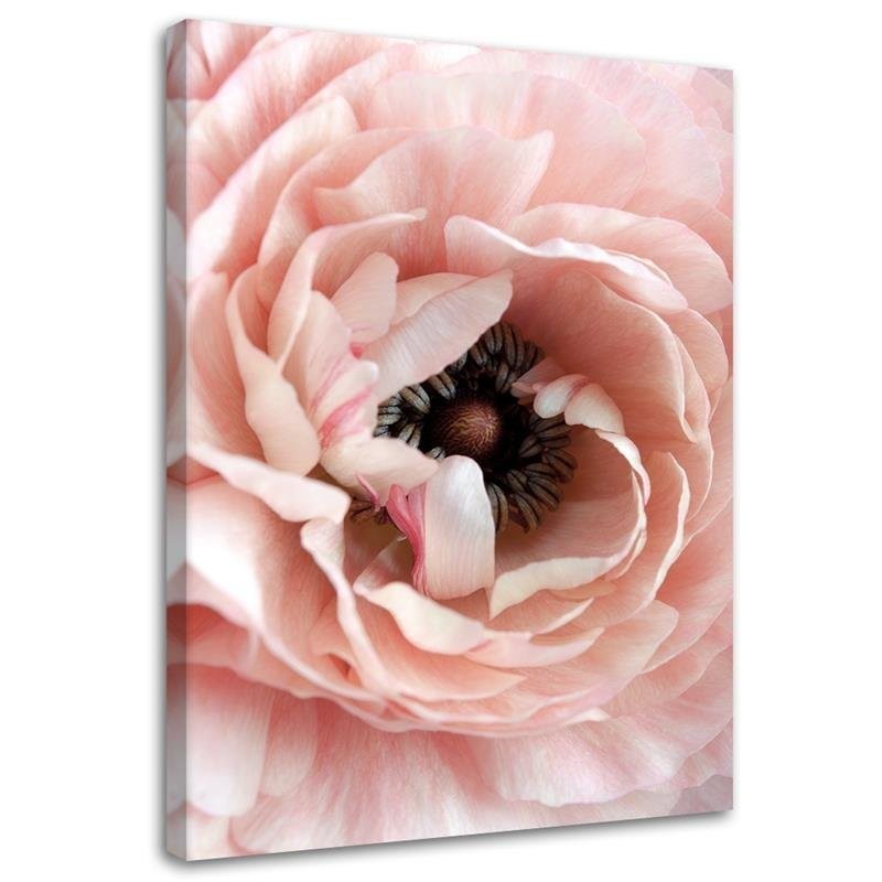 Modern Canvas painting for living room - Pastel peony flower | FEEBY