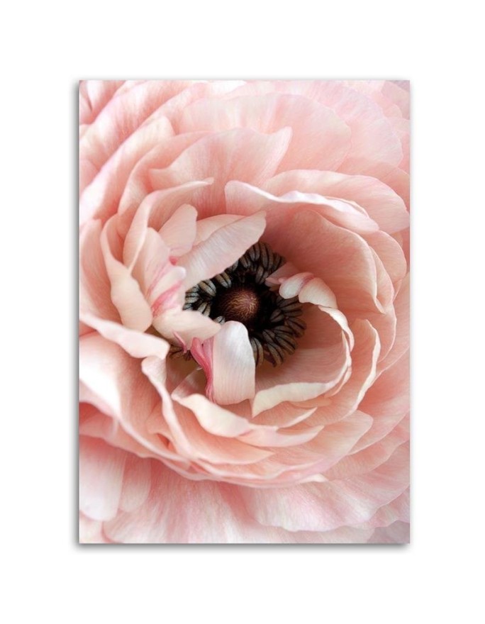 Modern Canvas painting for living room - Pastel peony flower | FEEBY