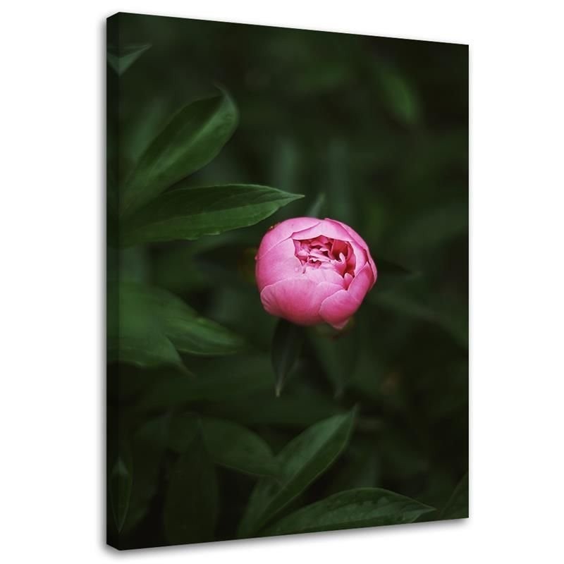 Canvas prints for living room - Pink flower | FEEBY