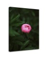 Canvas prints for living room - Pink flower | FEEBY