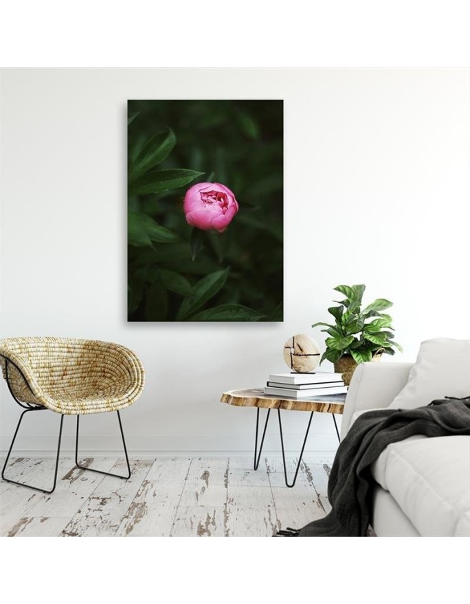 Canvas prints for living room - Pink flower | FEEBY