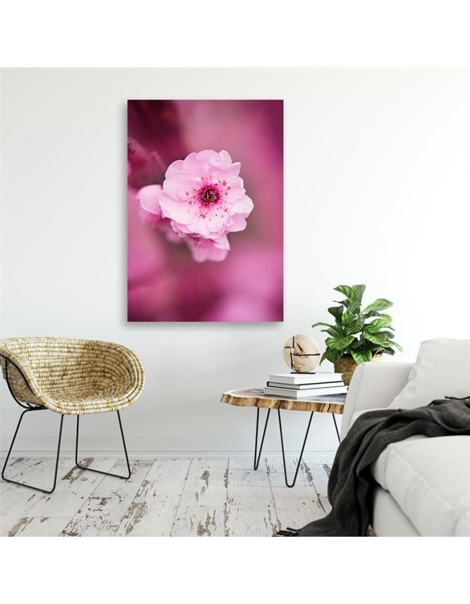 Canvas painting - Cherry blossom on pink background | FEEBY