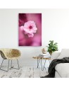 Canvas painting - Cherry blossom on pink background | FEEBY