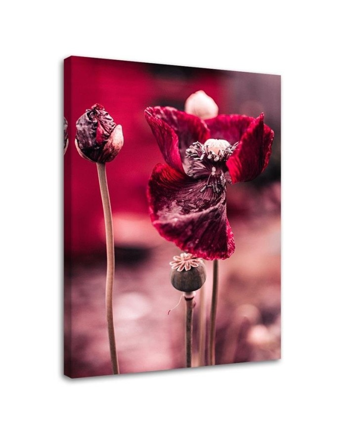 Modern Canvas painting for bedroom - Red poppies in a meadow | FEEBY