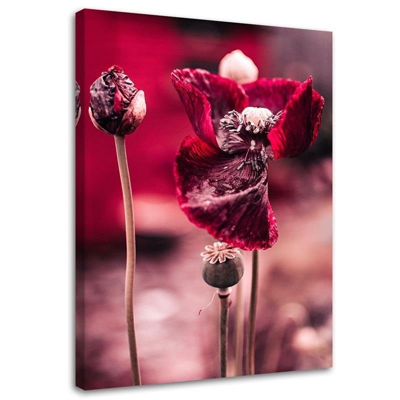 Modern Canvas painting for bedroom - Red poppies in a meadow | FEEBY