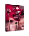 Modern Canvas painting for bedroom - Red poppies in a meadow | FEEBY