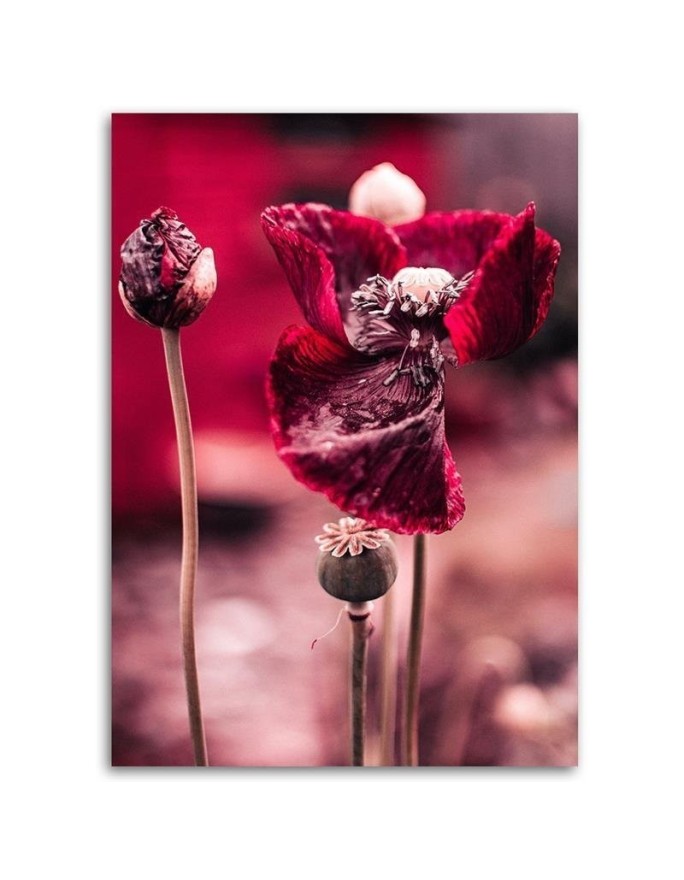 Modern Canvas painting for bedroom - Red poppies in a meadow | FEEBY