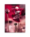 Modern Canvas painting for bedroom - Red poppies in a meadow | FEEBY