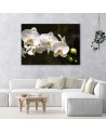Canvas painting for the living room - White orchids on a black background | FEEBY