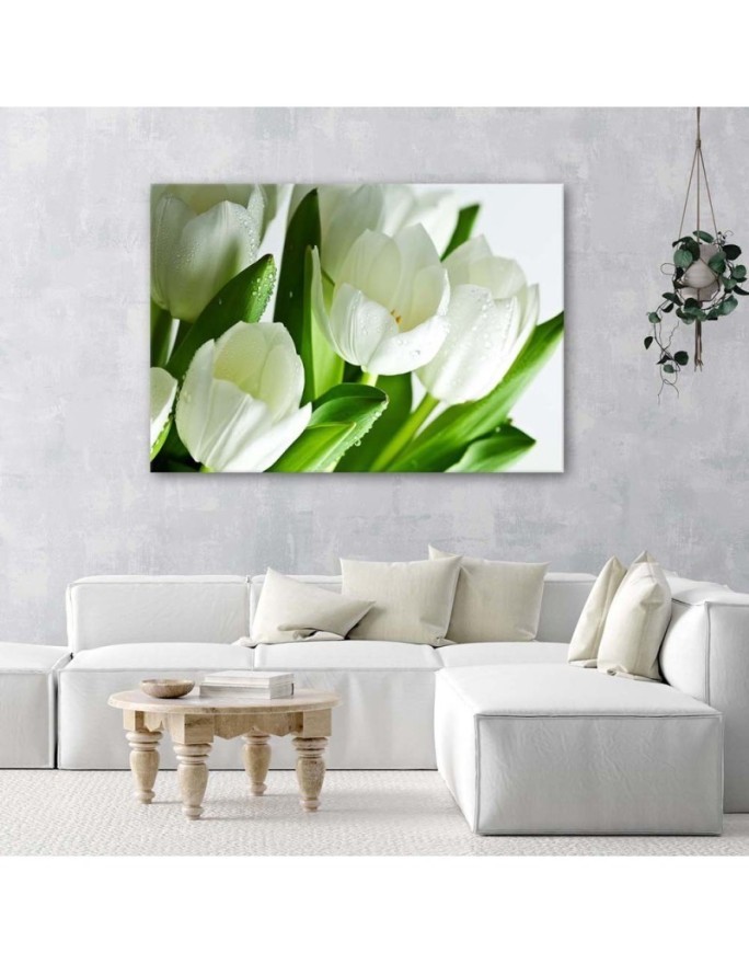 Modern canvas print - White tulips | FEEBY