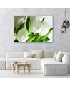 Modern canvas print - White tulips | FEEBY