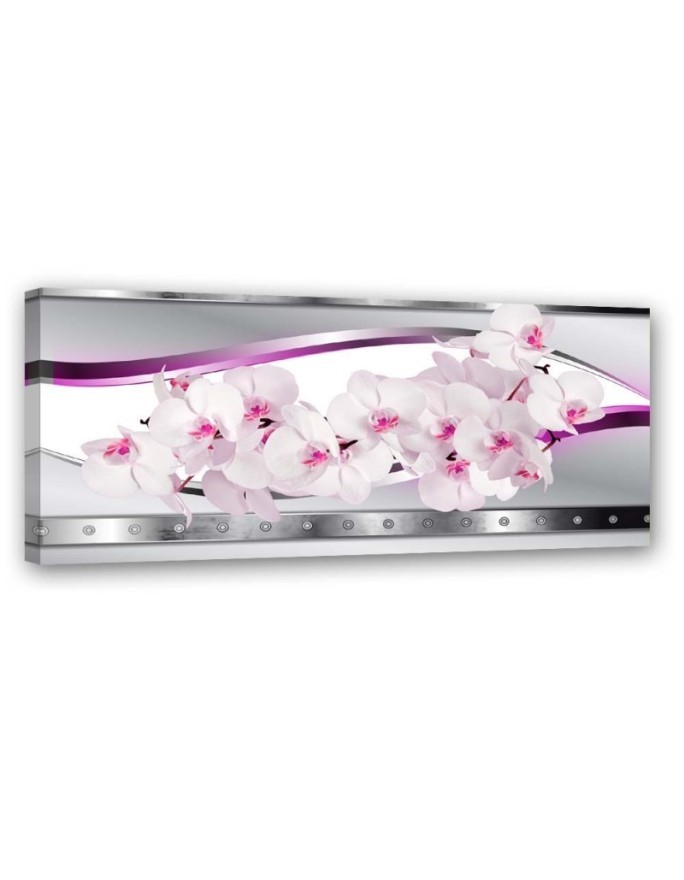 Canvas print - White pink orchids | FEEBY