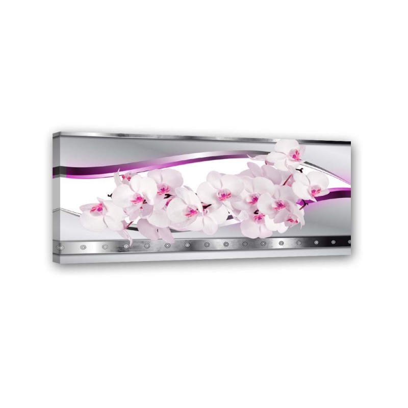Canvas print - White pink orchids | FEEBY