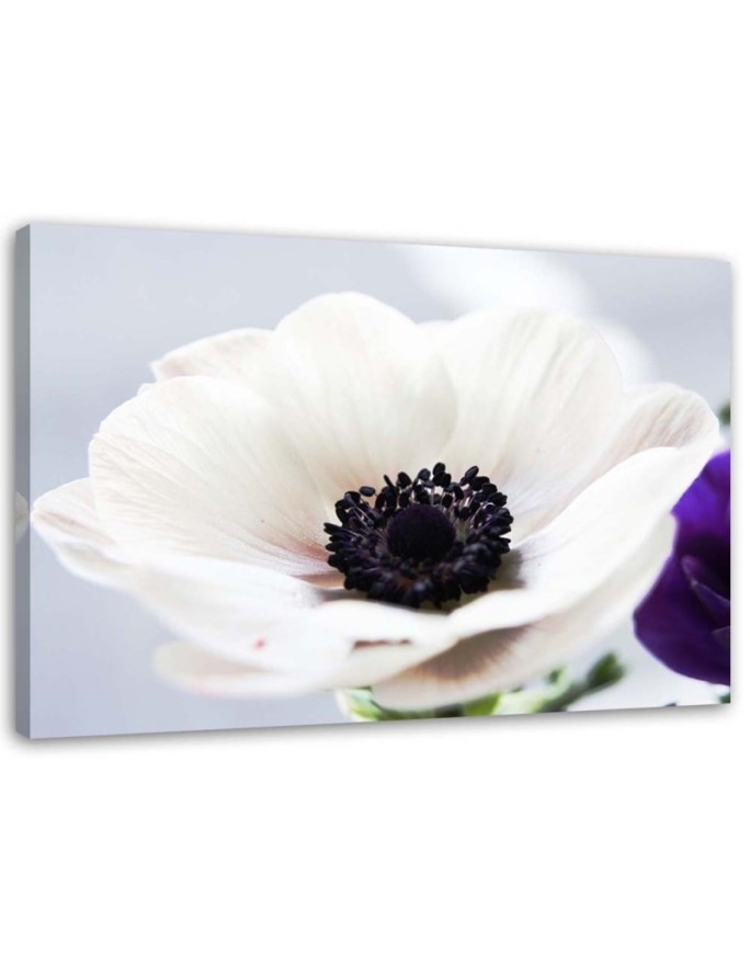 Modern painting for living room - White anemone flower | FEEBY