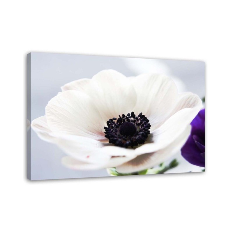 Modern painting for living room - White anemone flower | FEEBY