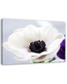 Modern painting for living room - White anemone flower | FEEBY