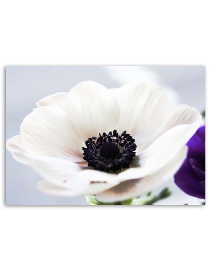 Modern painting for living room - White anemone flower | FEEBY