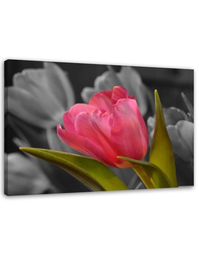 Blooming red tulip - Modern Canvas painting for bedroom | FEEBY