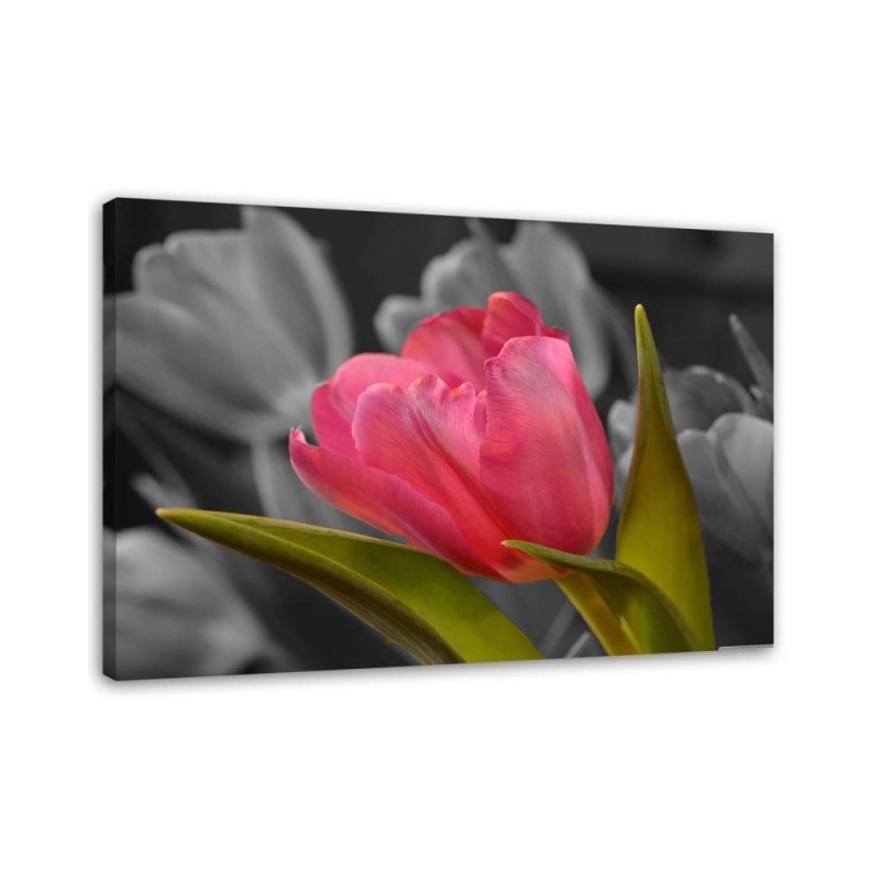 Blooming red tulip - Modern Canvas painting for bedroom | FEEBY