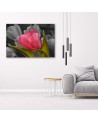 Blooming red tulip - Modern Canvas painting for bedroom | FEEBY