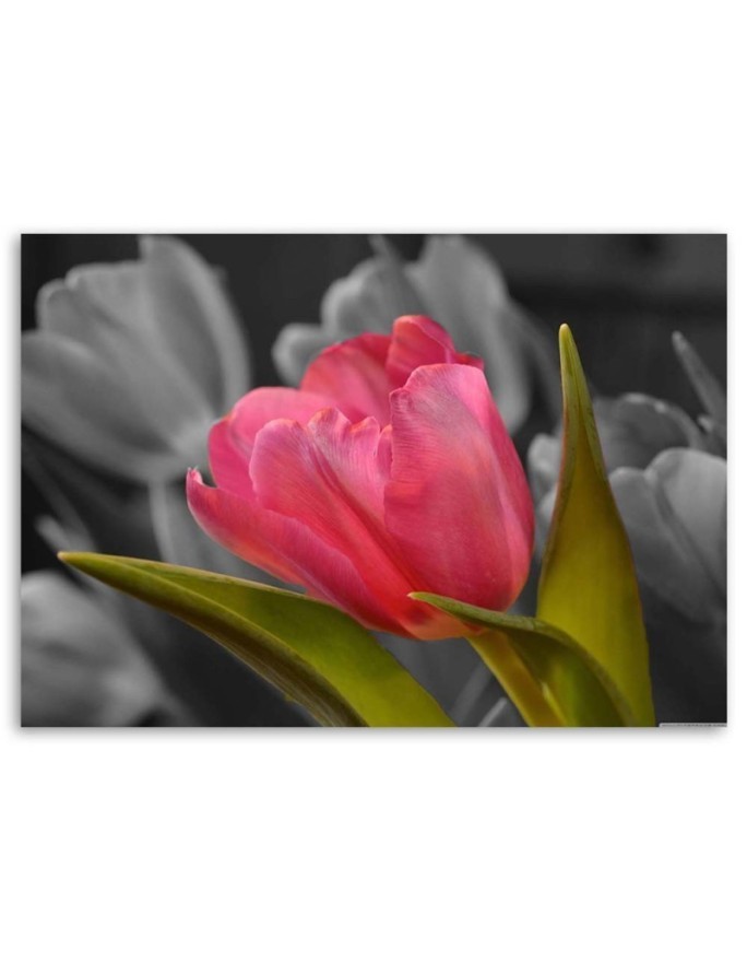 Blooming red tulip - Modern Canvas painting for bedroom | FEEBY