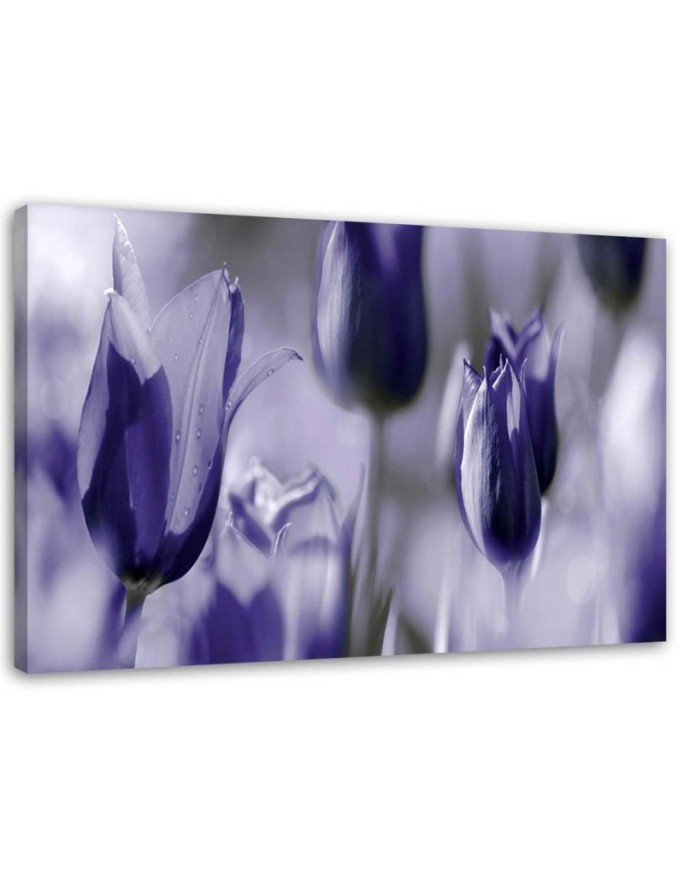 Canvas print Purple tulips...