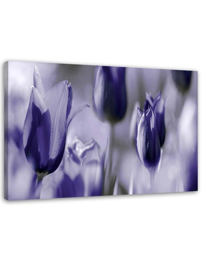 Purple tulips in a meadow - Canvas print | FEEBY
