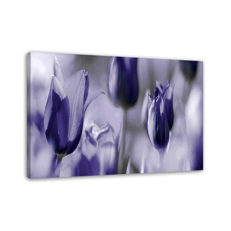 Purple tulips in a meadow - Canvas print | FEEBY