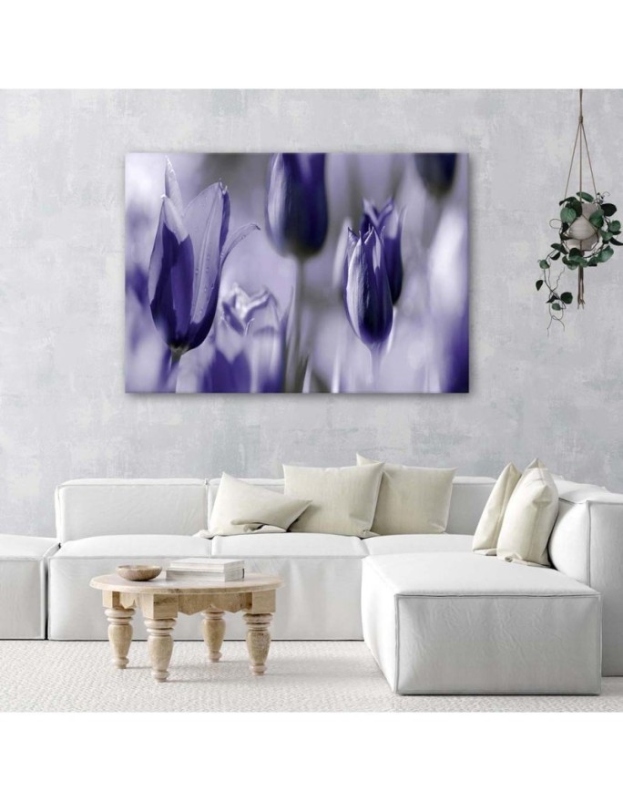 Purple tulips in a meadow - Canvas print | FEEBY