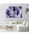 Purple tulips in a meadow - Canvas print | FEEBY