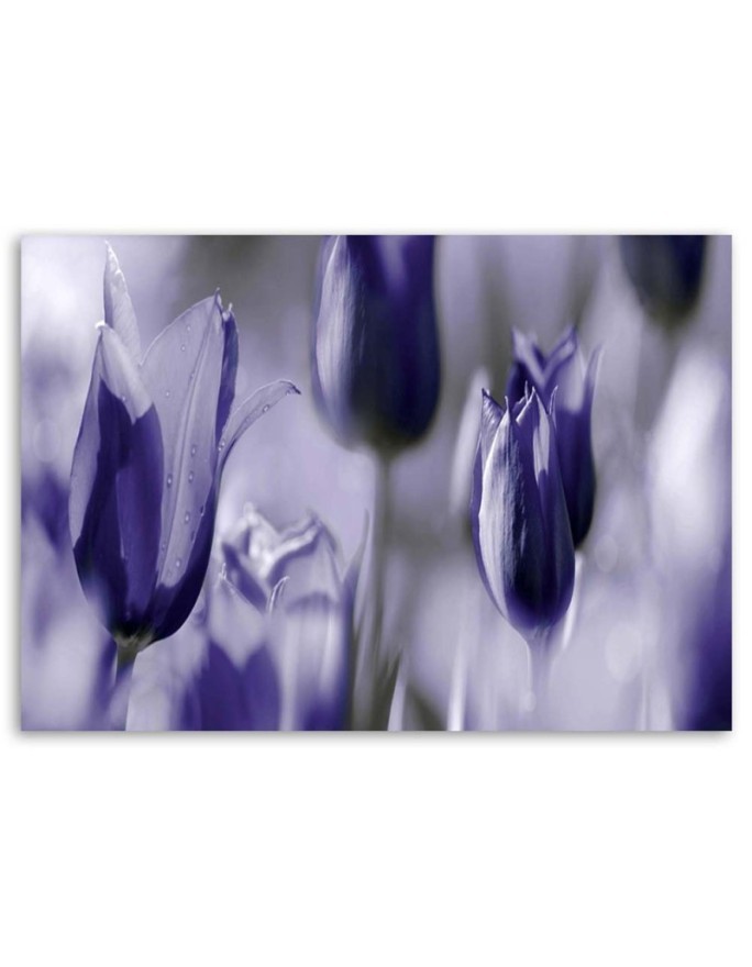 Purple tulips in a meadow - Canvas print | FEEBY