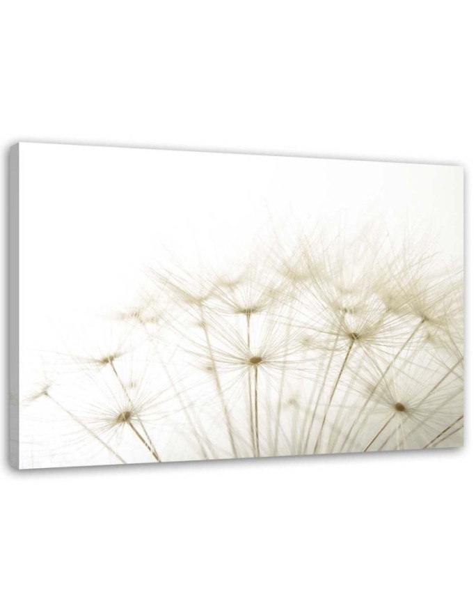 Dandelion Nature Macro- Modern wall art painting for living room | FEEBY