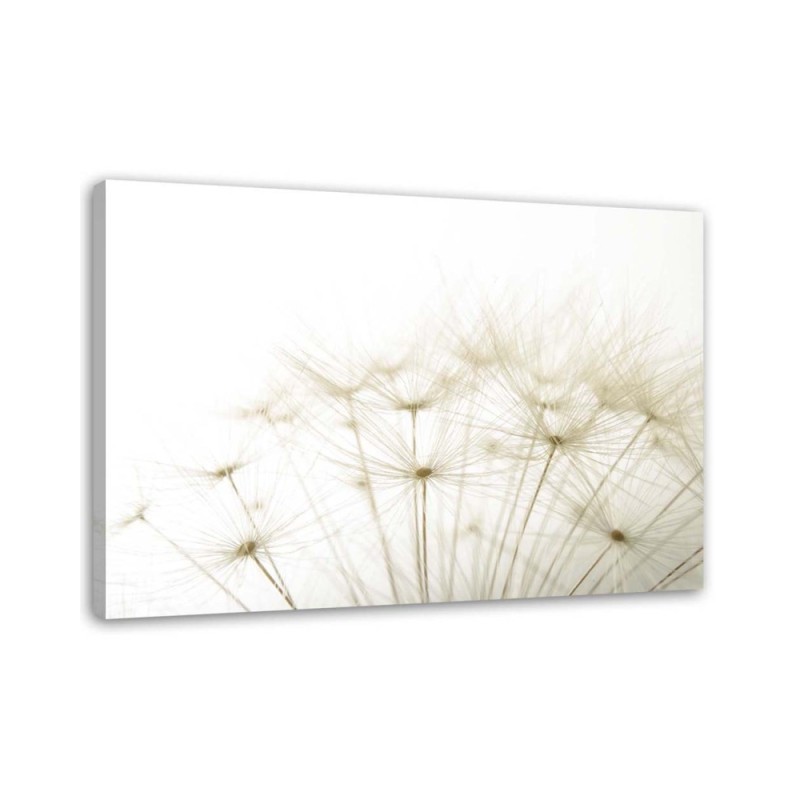 Dandelion Nature Macro- Modern wall art painting for living room | FEEBY
