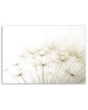 Dandelion Nature Macro- Modern wall art painting for living room | FEEBY