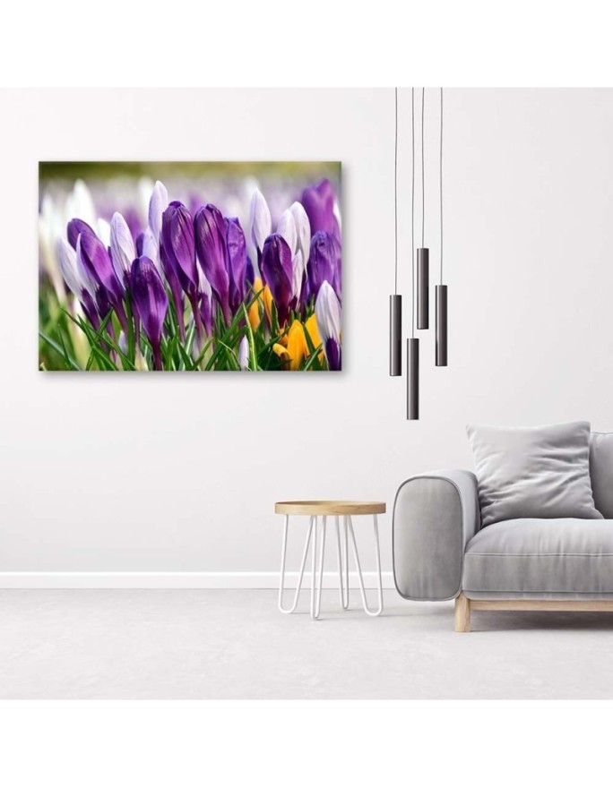 Canvas painting - Meadow with crocuses | FEEBY