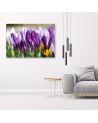 Canvas painting - Meadow with crocuses | FEEBY