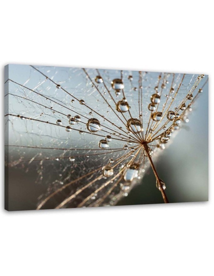 Canvas painting - Dandelion in Dew Drops| FEEBY
