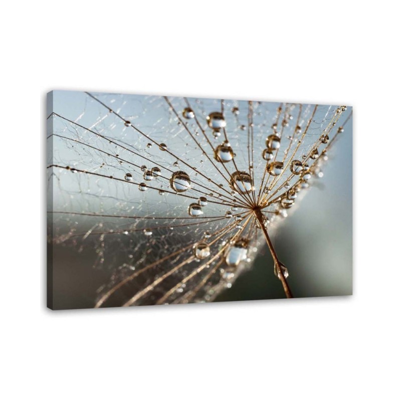 Canvas painting - Dandelion in Dew Drops| FEEBY