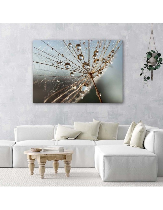Canvas painting - Dandelion in Dew Drops| FEEBY