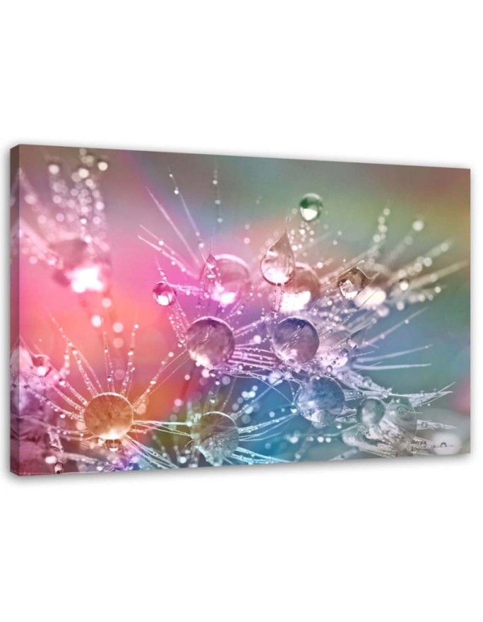 Canvas print Water drops on...
