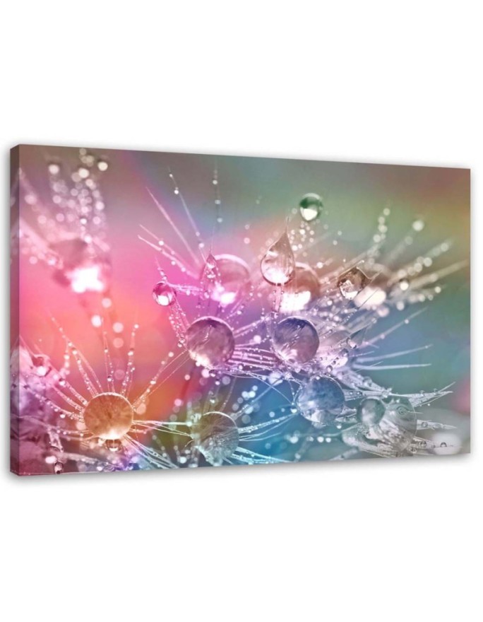 Canvas painting - Water drops on a dewdrop | FEEBY